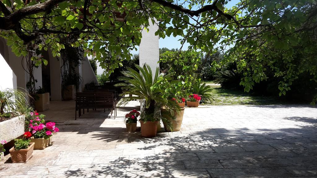 Agriturismo Vignavecchia Vignacastrisi Dış mekan fotoğraf