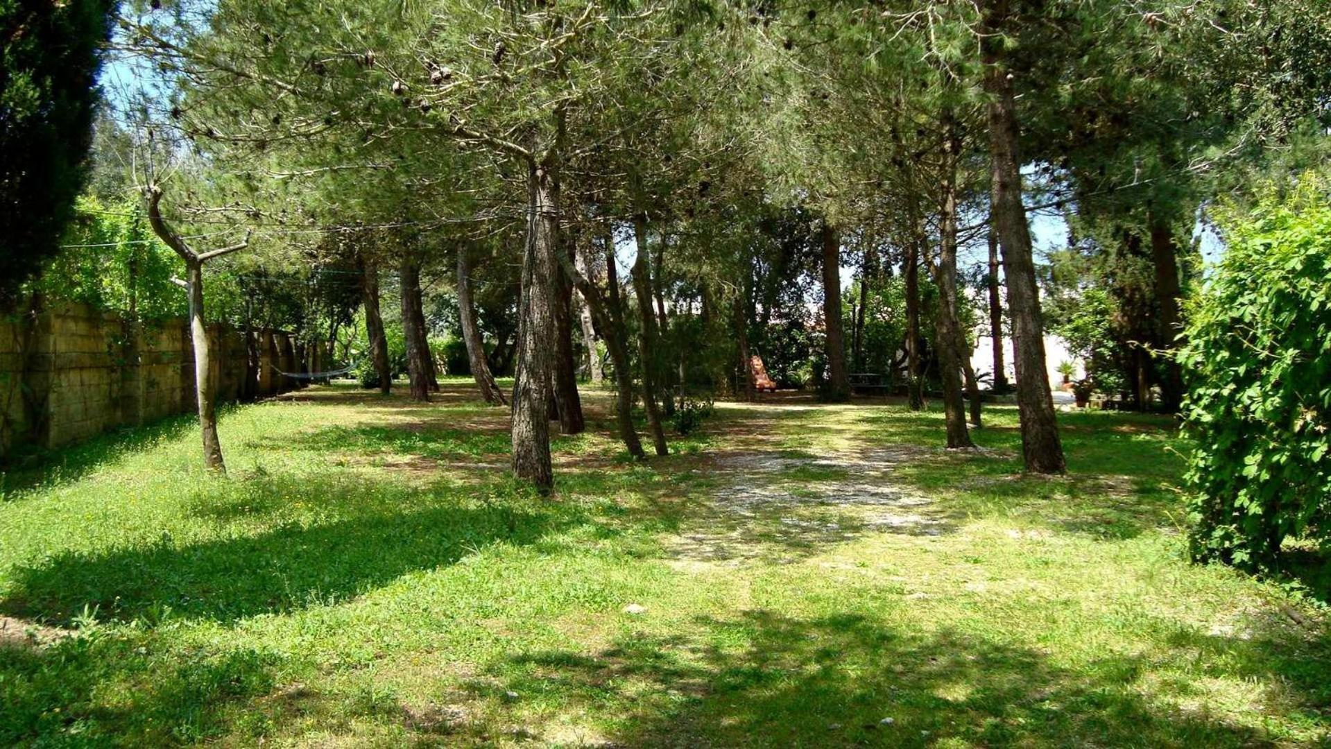 Agriturismo Vignavecchia Vignacastrisi Dış mekan fotoğraf
