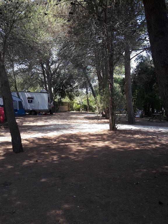 Agriturismo Vignavecchia Vignacastrisi Dış mekan fotoğraf