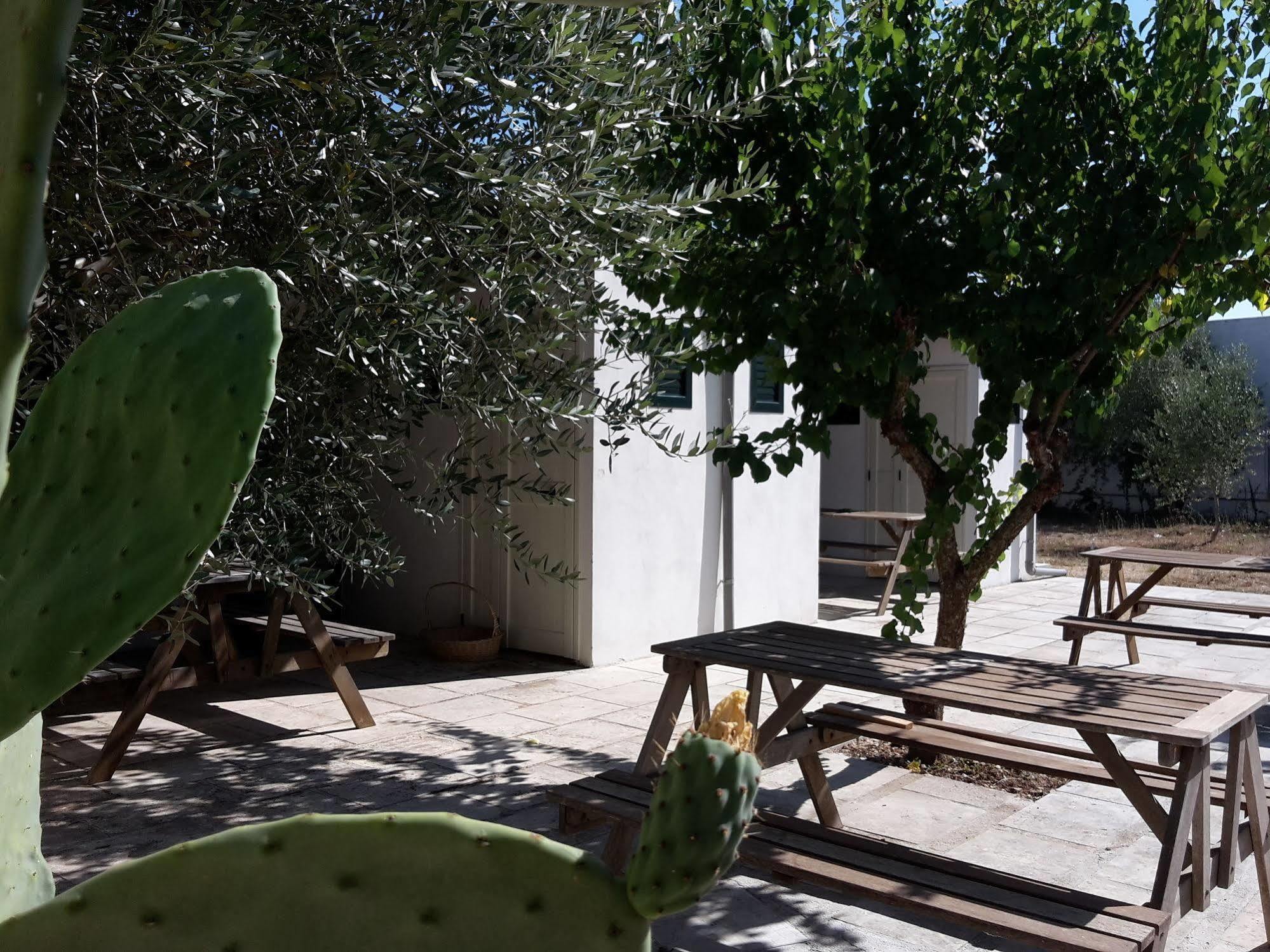 Agriturismo Vignavecchia Vignacastrisi Dış mekan fotoğraf