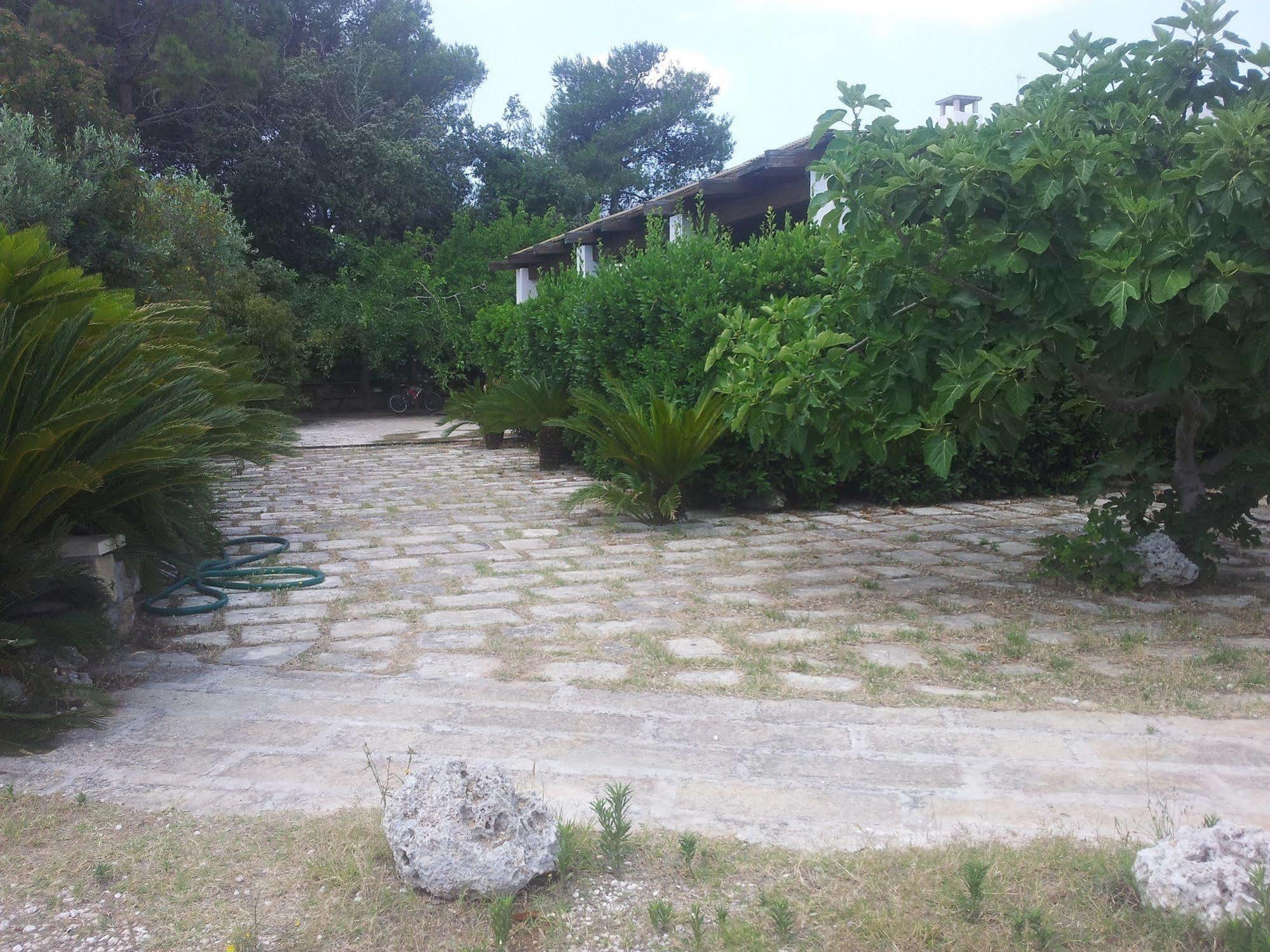 Agriturismo Vignavecchia Vignacastrisi Dış mekan fotoğraf